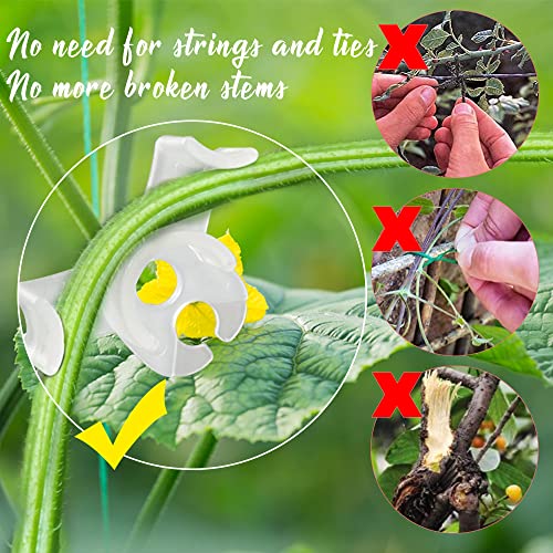 LucyPhy 60 Pack Plant Bender Angle Adjustable Plant Training Clips Low Stress Training Clips 90 Degrees Plant Stem(Circle Style,Transparent) - color: Transparent, size: 60Pack