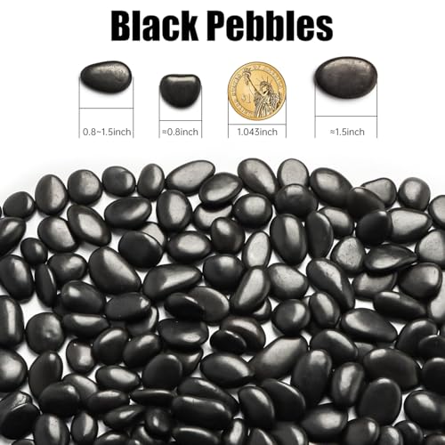 River Rocks 5 Lb, Pebbles for Indoor Plants 0.8"-1.5", Black Rocks for Outdoor Landscaping, Decorative Stones Vase Filler, Fish Tank, Fountain, Succulents, Flower Bed, Black - color: Black