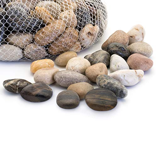 Royal Imports 5LBS River Rocks Decorative Ornamental Pebbles, Garden Landscaping Stones, Gravel Filler for Plants, Vases, Succulents, Home Decor, Aquariums, Crafting, Animal Habitat - Large Natural - size: Medium - 5 lbs, style: Natural