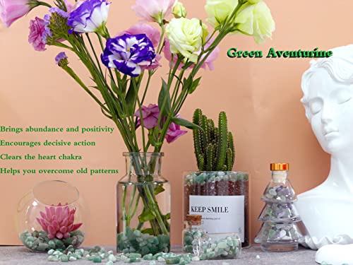 Green Aventurine Healing Crystal Chips Bulk Gemstones Sets Tumbled Crushed Stones Crushed Crystals Natural Rocks for Fountain Rocks Decoration Reiki Energy Balancing Meditation Aquarium Gravel 0.44lb - color: Green Aventurine, size: 0.44 Pound