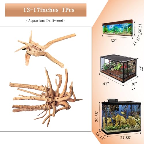 majoywoo Natural Large Driftwood for Aquarium Decor Reptile Decor, Assorted Spider Wood Branch 13-17" Long, Fish Tank Decoration - size: Spiderwood 13 to 17 Inch(Pack of 1)
