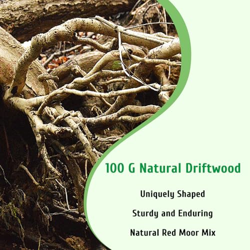 kathson Natural Driftwood for Aquarium, Red Moor Driftwood Mix 12''-16'' Long Driftwood for Decorations Aquarium Driftwood Assorted Shapes Natural Aquarium Decor Driftwood(100g,Delicate Branches)