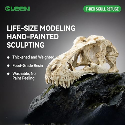CLEEN T-Rex Skull Reptile Hide - Dinosaur Bone Terrarium Decor for Lizards Snakes Bearded Dragon, Realistic Fossil Cave Aquarium Tank Accessories (Small)
