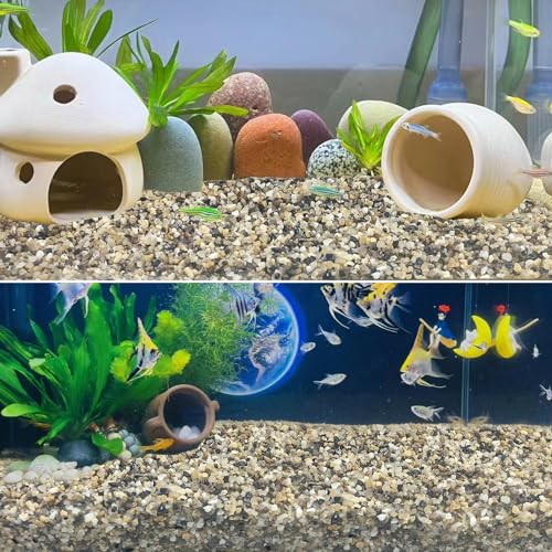 5LB Coarse Sand, Colored Rocks Pebbles, Quartz Sand for Cactus Bonsai, Succulent Plant Bonsai Paving, Vase Filling Decoration, Natural Sand for Fish Tank Decoration Paving(2-4mm) - size: 5LB, style: 2-4MM