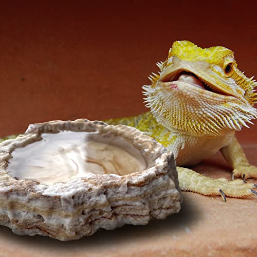 2 Pack Reptile Food Bowls - Reptile Water and Food Bowls with Tongs Imitating Natural Rock，Breadworm Feeding for Leopard Gecko Lizard Spider Scorpion Chameleon (2 Pcs Light Color) - color: 2 Pcs light color