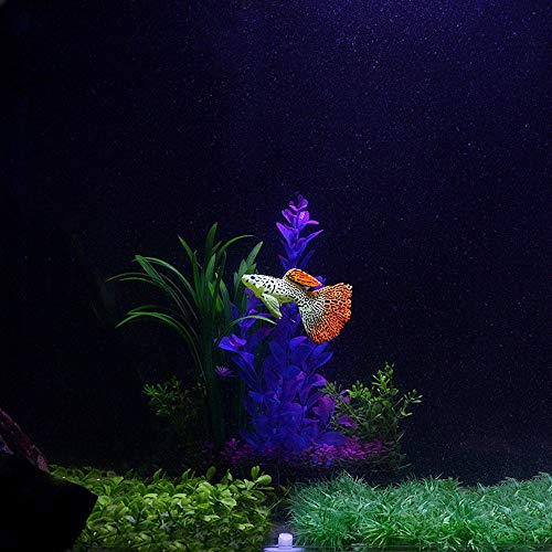 Artificial Faux Fake Gold Fish Glowing Effect Aquarium Fish Tank Decor Floating Ornament CNice and Deft