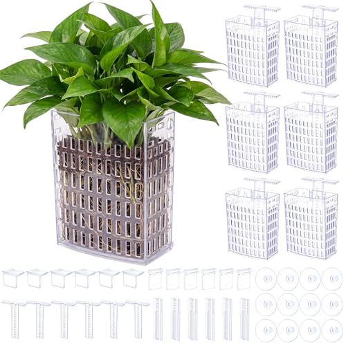Mifoci 6 Pack Aquarium Plant Holder 3.35 x 2.17 x 4.53 Inches Adjustable Height with Suction Cups Extendable Hook Hanging Planter for Fish Tank Aquaponic Cultivation and Aquascape Decoration (Clear) - color: Clear