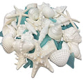 Tumbler Home Natural Sea Shells, Starfish & Sea Glass, Generous 1.5 lbs Hand Picked – Hand Packed | DIY, Crafts, Party, Wedding Decor | Shells 1.5 to 4.5 Inches - color: Shells + Glass + Starfish