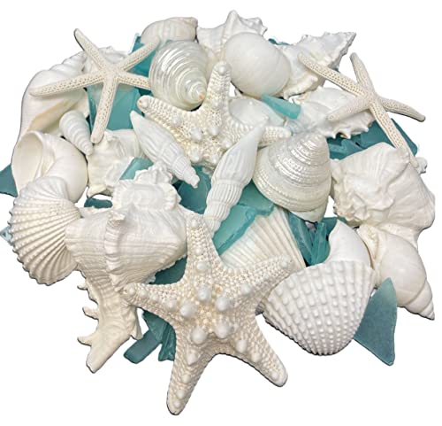 Tumbler Home Natural Sea Shells, Starfish & Sea Glass, Generous 1.5 lbs Hand Picked – Hand Packed | DIY, Crafts, Party, Wedding Decor | Shells 1.5 to 4.5 Inches - color: Shells + Glass + Starfish