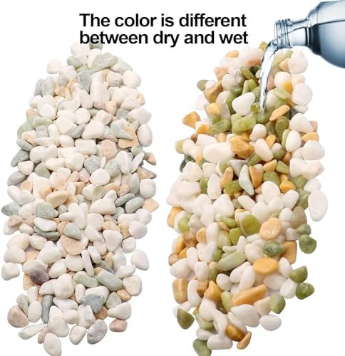 TOYPOPOR Mixed Color Decorative Rocks Stones Pebbles for Plants Garden Gravel White Rocks with Yellow, Green Pastel Accents Vase Fillers Natural Stone Top Dressing for Potted Plants Succulents 6 lbs - color: Three Colors Rocks, size: 6 lb