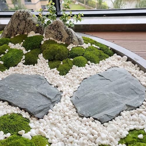 FANTIAN 20 lbs White River Rocks for Landscaping, 1-2 Inch Polished Pebbles Stones for Indoor Plants, Vases, Fish Tank, Garden, Top Dressing and Bottem Drainage - color: White, size: 20 lbs, 1-2 Inch