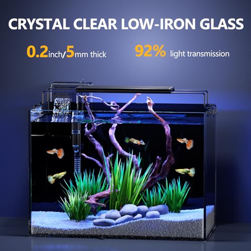 5 Gallon Fish Tank Aquarium Kit with HOB Filter, LED Light with Timer, Lid, Siphon Vacuum Cleaner, Self Cleaning Glass Rimless Betta Tank - size: 5 Gallon
