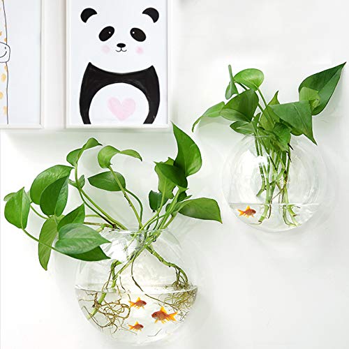 Firlar Clear Wall Hanging Plant Terrarium, 2 Pcs Acrylic Wall-Mounted Plant Pot Fish Tank Globe Flower Vase Terrarium Container Air Plant Holder Wall Hanging Bowl for Air Plants Succulents Fish