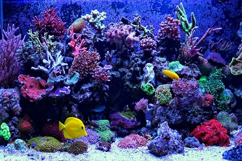 9x6ft Undersea Aquarium Backdrop Fish Tank Underwater Coral Tropical Fish Background World Fish Tank Diving Holiday Fishing Party Decoration Photo Props Wallpaper - size: 9x6FT