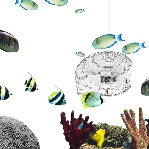 MiOYOOW Aquarium Planaria Catcher, Transparent Snail Trap Natural Capture Planaria Catch Box for Aquarium Fish Tank Planaria Tiny Snail