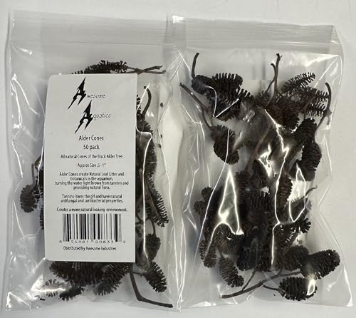 Alder & Casuarina Cones Betta Shrimp Tank Promotes Natural Habitat, Breeding, Tannin Producing Improves Immunity, Easy to Use, by Awesome Aquatic (50 Pack Alder) - size: 50 Pack Alder