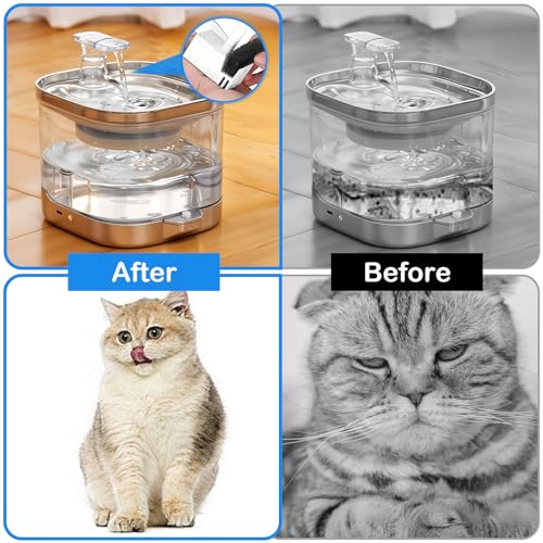 12 Pcs Cat Water Fountain Sponge Filters Pet Fountain Replacement Filters Cat Sponges for 92oz/2.8L Pet Fountain Small Sponge Filter for Cat and Dog (Black)