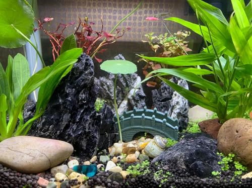 Aquarium Rocks Natural Seiryu Stone 20lb Aquascaping Rocks for Fish Tank Aquarium Landscaping Decoration Paludarium Amphibian Enclosures(3-10 Inches) - size: 20LB(3-10 inches)