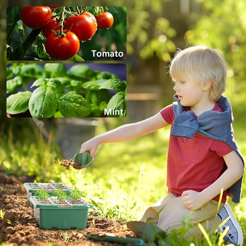 Bonviee 10 Packs Seed Starter Tray with Elevated Lid, 120 Cells Thicken Seed Starting Trays Kit with Adjustable Humidity Vent, Clear Cell Tray and Heightened Lids for Greenhouse & Gardens, Green - color: Green, size: 10 Packs, NO light