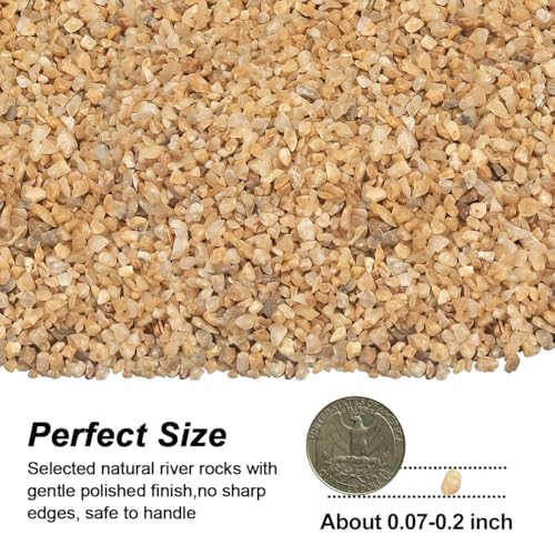 Succulent and Cactus Gravel Pebbles,Landscaping Pebbles,River Rocks,Garden Landscaping Stones,Gravel Filler for Home Decoration Flower Bed Fish Tank Plants Vases Succulents (Beige, 1 Pound) - color: Beige, size: 1 Pound