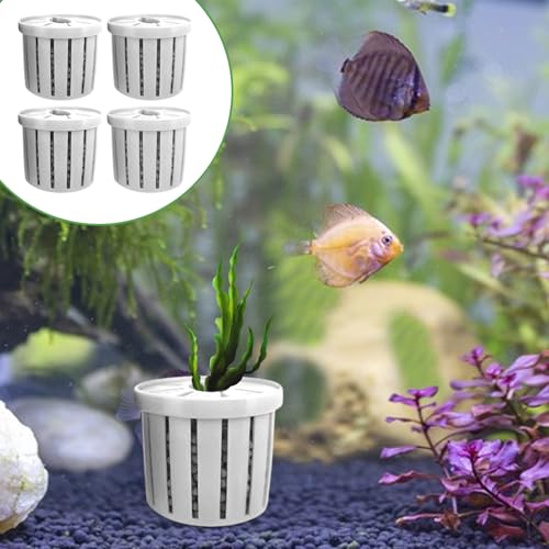Aquarium Plant Cup, Aquatic Holder Pot, Container with Porous Design, Tool with Sturdy Build, Garden Supply, 4 Piece Decoration for Pond Wall Corner Shelf Terrarium Tank Patio Balcony Home