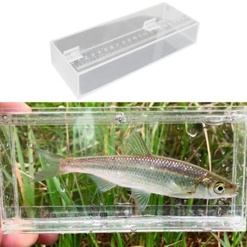 Fishing Photo Tank Fish Isolation Box Acrylic Aquarium Transparent Hatching Incubator Case, 22x4.2x8cm - color: 22x4.2x8cm