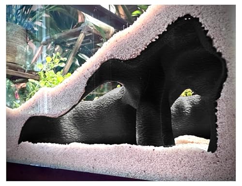 Aquarium & Terrarium Corner Underground Cave – Faux Mangrove Root Hideout for Betta, Corydoras, Shrimp, Geckos & Snakes – Natural-Look Tank Decor in Textured Root Style (Charcoal, 7.5" x7.5''x4) - color: Charcoal