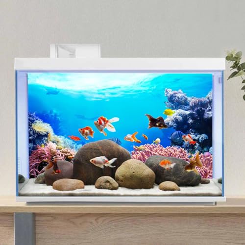 AWERT 72x24 inches Underwater Aquarium Background Colorful Coral Tropical Fish Undersea World Fish Tank Background Vinyl - size: 72x24in/180x60cm