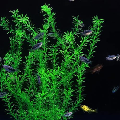 DSkoiph 2 pcs Aquarium Decor Plastic Plants Extra Large 21 Inches Artificial Fish Tank Plants Tall Fish Tank Decorations Artificial Green Water Plants (Green) - color: Green