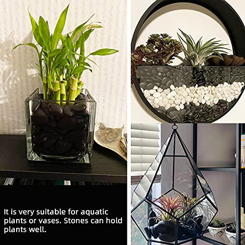 Black Pebbles for Plants 3lb Bulk Bag 0.5"- 1" Aquarium Gravel Decorative Polished Stone Natural River Rocks for Fish Tank… - size: 3LB, style: Black