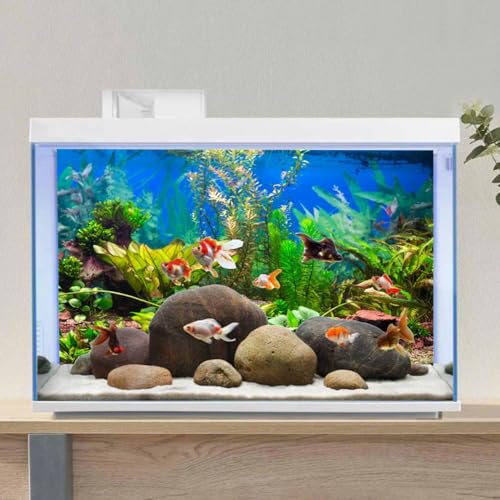 AWERT 36x20 inches Aquarium Background Aquatic Plant River Bed & Lake Fish Tank Background Vinyl