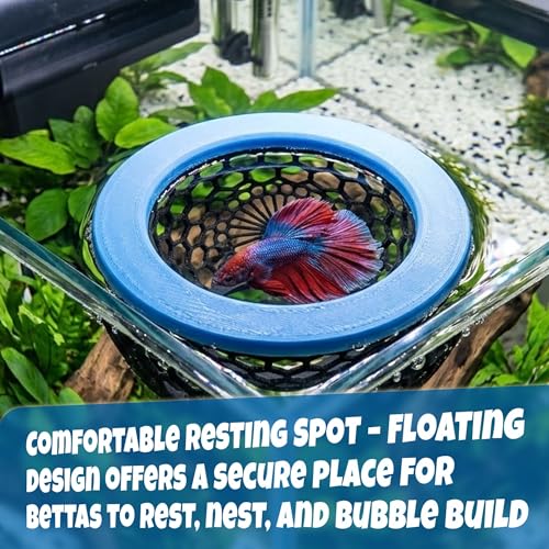 Formit Crafts Floating Betta Hide & Shrimp Cave – Aquarium Resting Hammock & Decorative Shelter, Feeding Ring & Safe Resting Shelter for Betta, Shrimp & Small Fish – Eco‑Safe