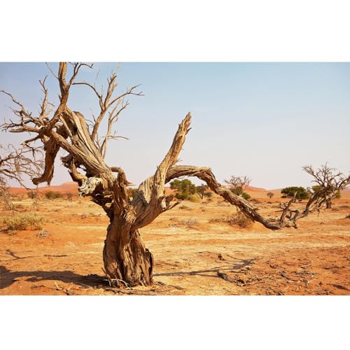 Reptile Habitat Background Orange Desert Terrarium Background Aquarium Background Dead Tree Backdrop Durable Polyester Background Decor Vinyl 24x12in - color: Brown, size: 24(W)x12(H)inches/ 60(W)*30cm(H)
