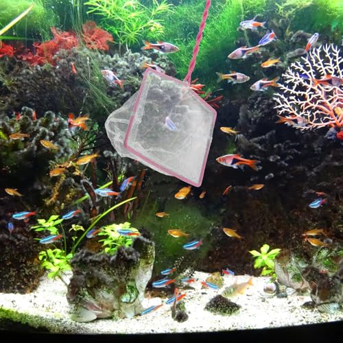 5pcs Small Aquarium Fish Net Set 5-inch Handheld Fine Mesh Fish Tank Nets and Aquascaping Tools