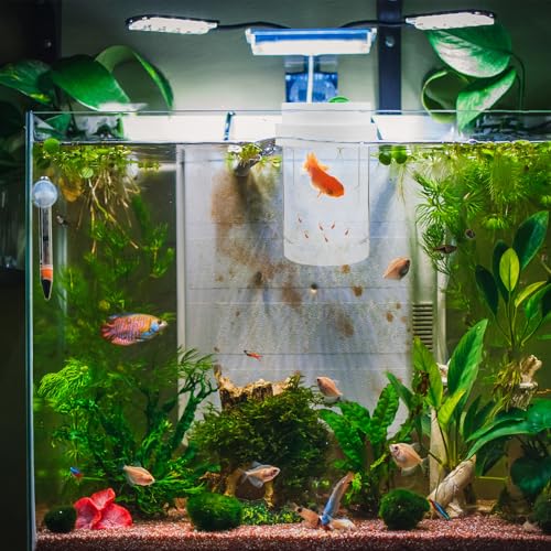 Hemobllo Floating Aquarium Fish Breeding Isolation Box with Fine and Coarse Mesh Nets, Hatchery Incubator for Guppy and Betta Fry Nursery, White Small and Medium Size Set for Fish Tank