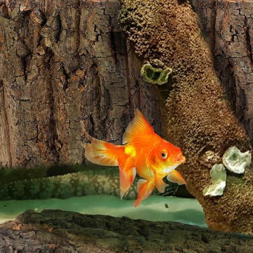 SHINEOFI 4Pcs Cork Bark Reptile Terrarium Background Aquarium Decor for Gecko Lizard Frog Bearded Dragon Tank Natural Tree .90X5.90X0.78In