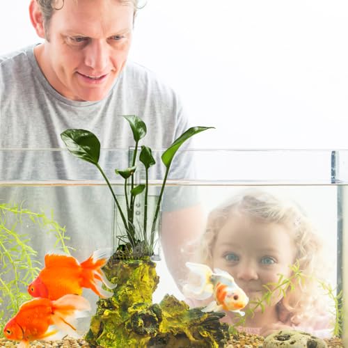 POPETPOP Hanging Aquarium Planter - Transparent Acrylic Fish Tank Plant Holder Cups for Decoration