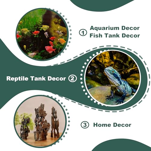 Natural Wood Driftwood for Aquarium Fish Tank Decor,Assorted Driftwood Trunk Branch for Reptile Tank Decor (SHP-XM Driftwood (6 to10 Inch)-Pack of 2) - color: SHP-XM Driftwood (6 to10 Inch)-Pack of 2