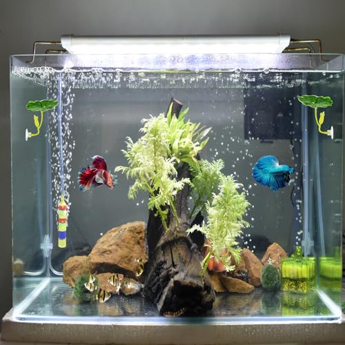 QfwdfcTrenz 3 Pcs Betta Fish Leaf Pad Simulating The Natural Habitat Green Hammock for Fish Spawning Grounds Leaves Improves Betta's Health Comfortable Resting Bed