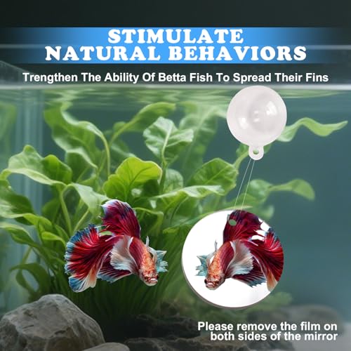 Betta Fish Toys, 2 PCS Fish Exercise Ring and Nitrifying Balls Set, Betta Mirror Toy Set, Feeding Ring with Suction Cup, Fishing Tank Accessories for Gifts (Clear) - color: Clear