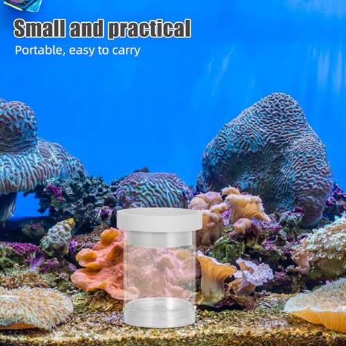 Beavorty Small Fish Breeding Isolation Box Floating Aquarium Hatchery Incubator with Divider and Egg Net for Guppy Fry Nursery in Fish Tanks