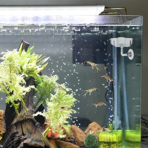 Aquarium Shrimp Fish Feeding Dish, Small Fish Feeder Dishes Clear Feeder Dish Betta Fishes Accessories Food Tray Container with Suction Cup Shrimp Tank Accessories (Sakura Shaped)