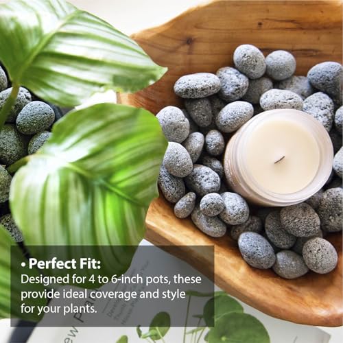 SuperMoss (24099) Volcanic Pebbles – Natural Lava Rocks for Fire Pits, Gas Fireplaces, Aquariums, Terrariums, Sauna, Succulent Soil, Landscaping & Décor, 2 Quart Bag, Natural