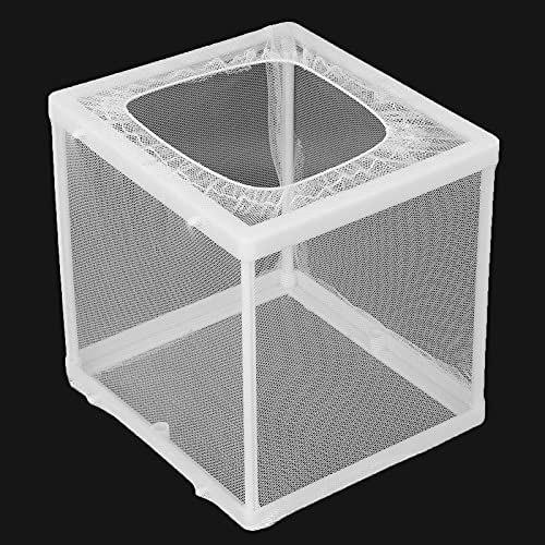 Aquarium Breeder Box with Suction Cups | Detachable Fish Hatchery & Isolation Enclosure | Multi - Functional Incubator for Fry/Unwell Fish/Shrimp | Secure Plastic & Mesh Design - size: S(7.8x6.5x2.6cm/3.1x2.6x1in)