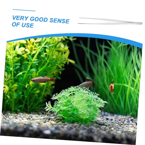 BESPORTBLE Stainless Steel Straight Tweezers for Aquarium Planting Durable and Flexible Precision Tool for Easy Water Plant Positioning