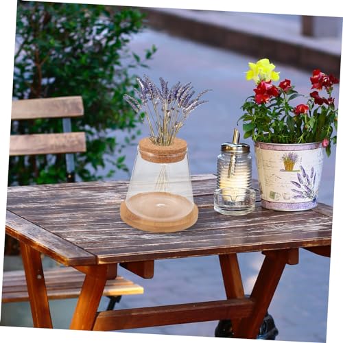 Happyyami 1set Desktop Fish Bowl Lid Glass Small Fish Tank for Betta Elegant Hydroponic Vase Mat Table Adornment for Home