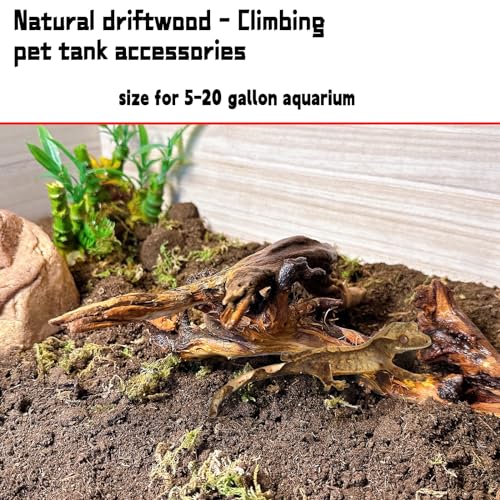 Hamiledyi 5PCS Aquarium Driftwood,3.5-7in Natural Coral Wood,Fish Tank Driftwood Assorted Branches Reptile Tank Decor Aquarium Decoration - size: S:Mopani driftwood 3.5-7in 5PCS