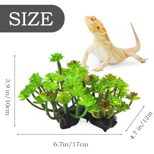 kathson Reptile Plant Succulent,Artificial Plants Aquarium &Terrarium Accessories for Bearded Dragon Crested Leopard Gecko Lizard Chameleon Tortoise Betta Fish Hermit Crab - color: 【succulent】, size: 【1PCS】