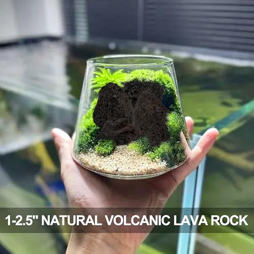 1-2.5" Natural Volcanic Lava Rock for Aquarium, Plants, Fire Pit, Succulent & Garden Decor, 1lb