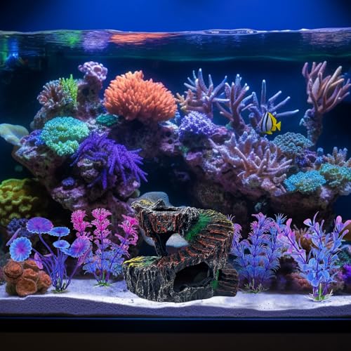 Aquarium Fish Tank Decorations, Montain Ornaments Accessories Decor for Small Aquarium, Spiral Staircase x 1pc, Aquatic Plants x 4pcs